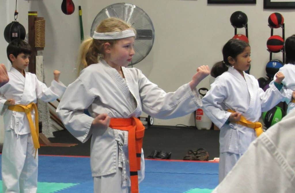 fremont shotokan karate kids